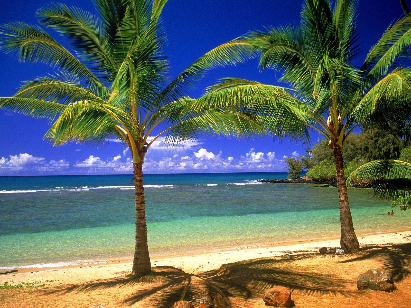 Hot hawaii desktop wallpapers: escape to paradise today!