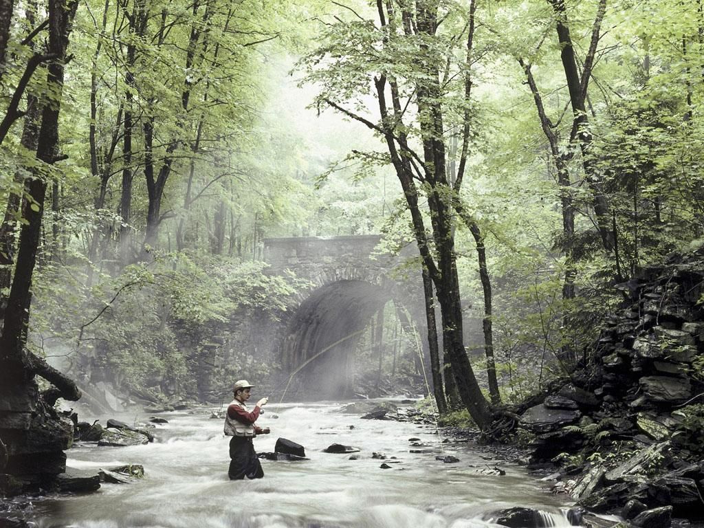 Beautiful flyfishing – desktop wallpapers: a serene escape