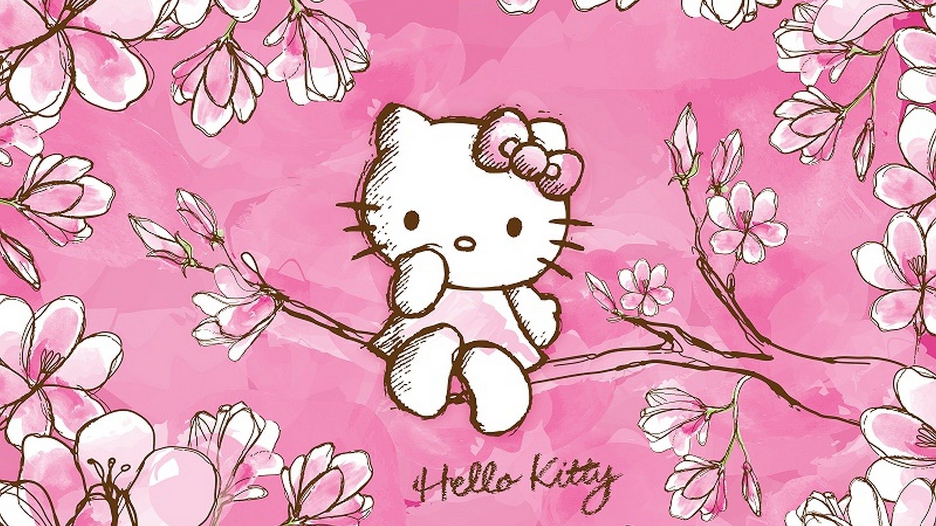 colorful high resolution hello kitty desktop wallpaper gallery