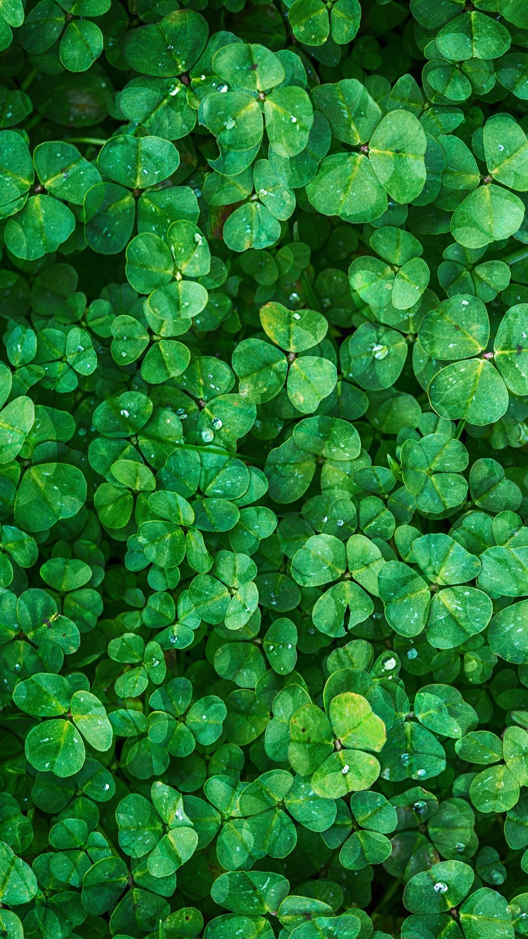 creative gaming wallpapers for St Patrick's Day