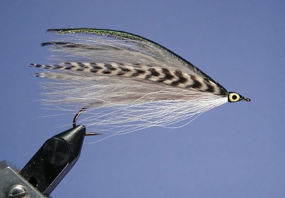 flyfishing - desktop 0042