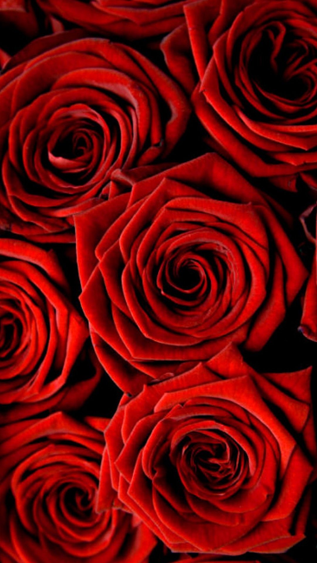 full screen valentines day desktop wallpaper 0025