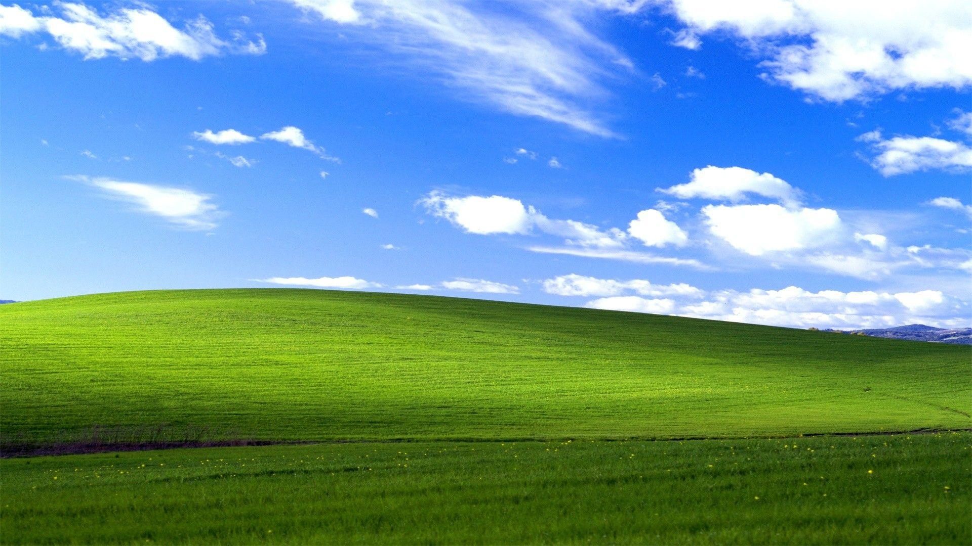 green desktop wallpaper 0058