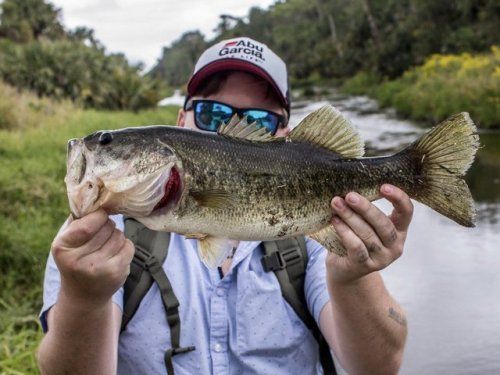 nature flyfishing desktop themes