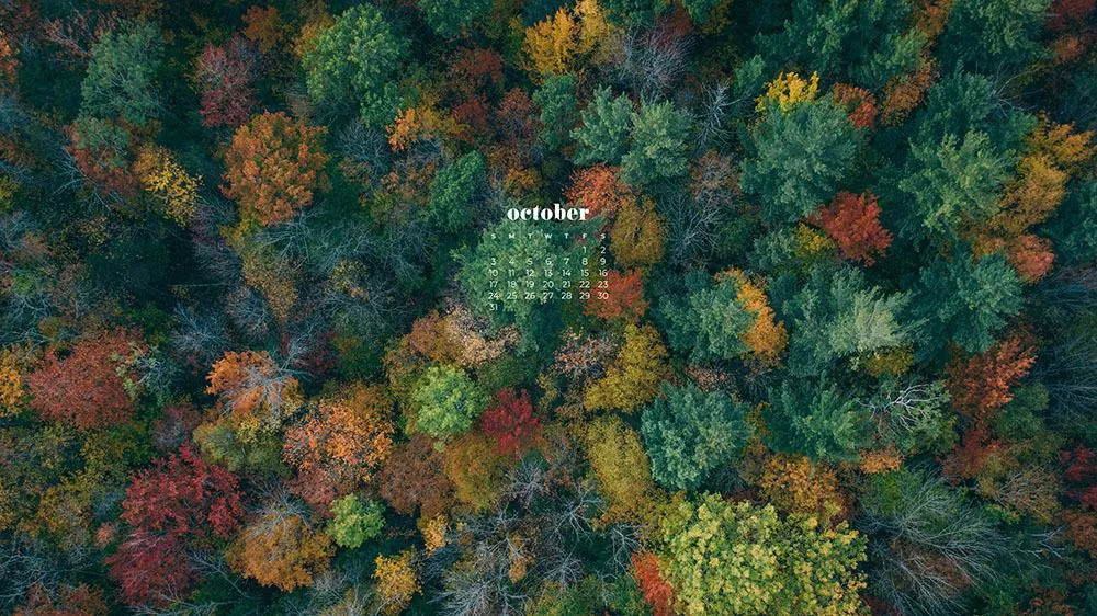 october wallpaper desktop 0036