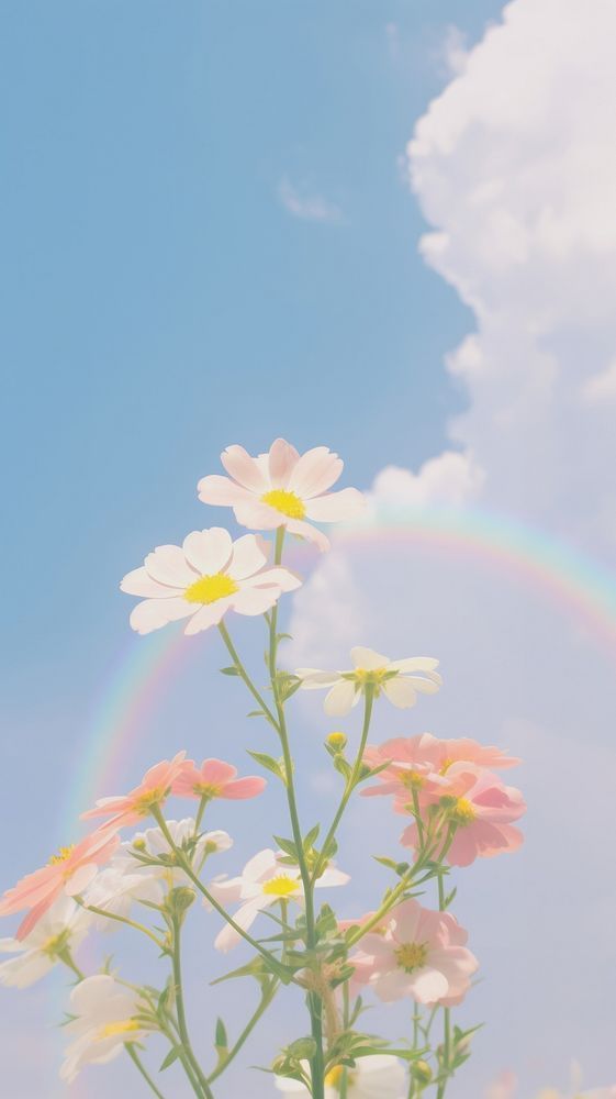 pastel aesthetic desktop wallpaper 0032