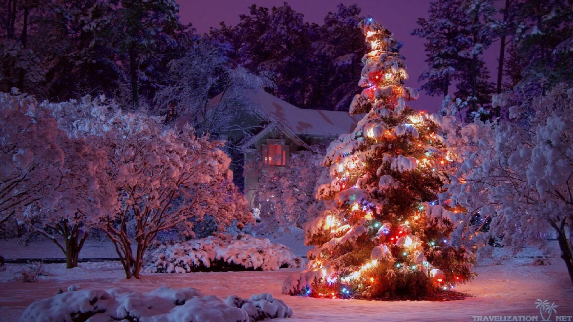 picturesque christmas tree wallpaper desktop landscapes