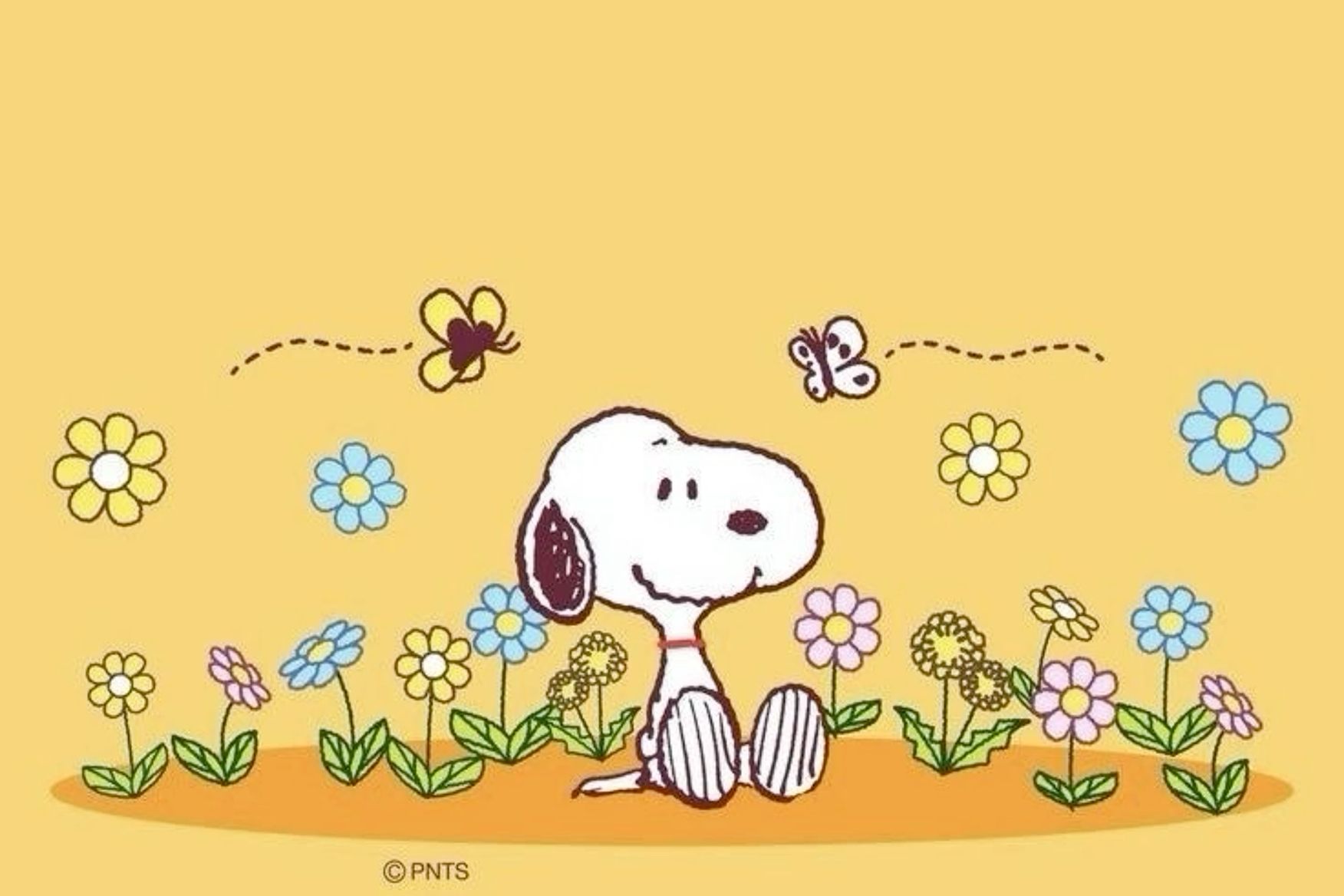 snoopy desktop wallpaper 0034