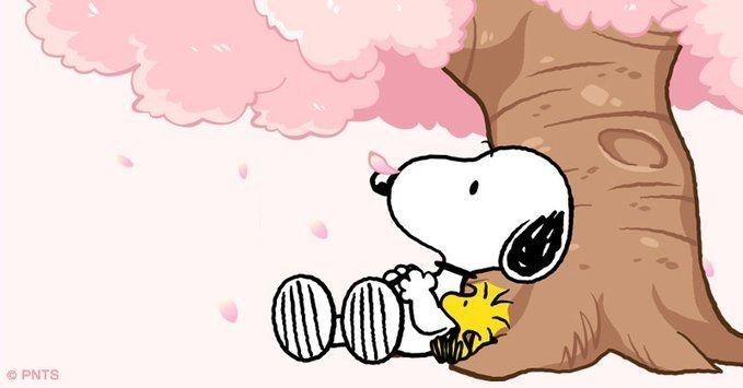 snoopy desktop wallpaper 0036