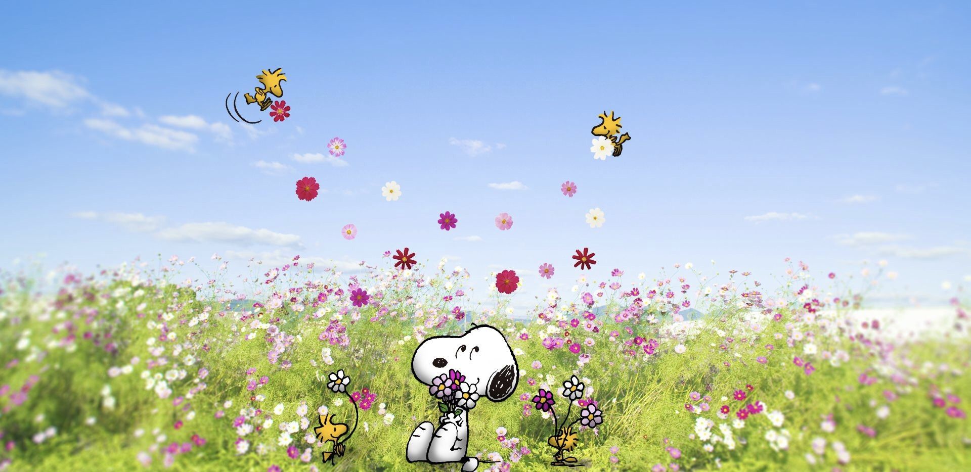 snoopy desktop wallpaper 0044