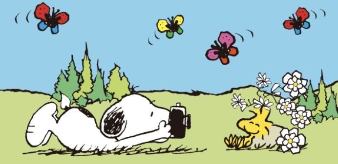 snoopy desktop wallpaper 0055