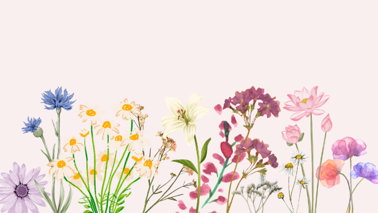 spring flowers desktop wallpaper 0027