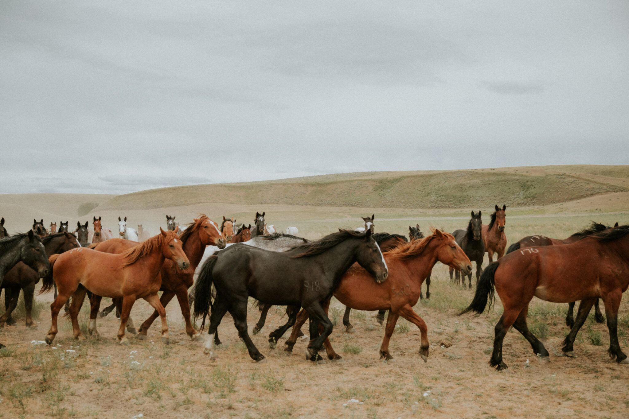 unique western desktop wallpaper features.